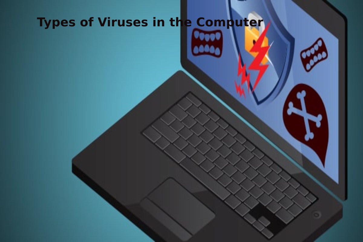 Types of Viruses in the Computer – Overwrite Virus, Macro Virus, and More