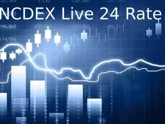 National Commodity & Derivatives Exchange - NCDEX Live 24 Rate