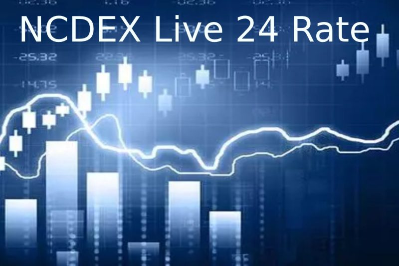 National Commodity & Derivatives Exchange - NCDEX Live 24 Rate