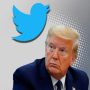 Trump Twitter Twitterkastrenakes Theverge
