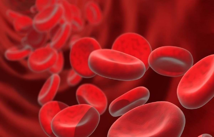 India's first unique blood group_ EMM Negative Blood Group