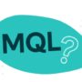 MQLS - Marketing Qualified Lead