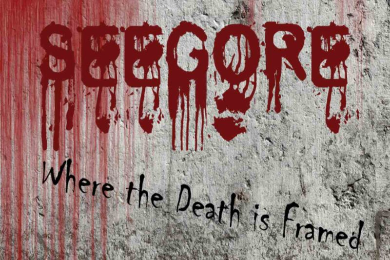 SeeGore – SeeGore.com Review