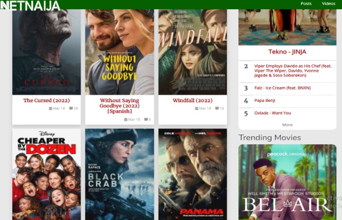Netnaija Features