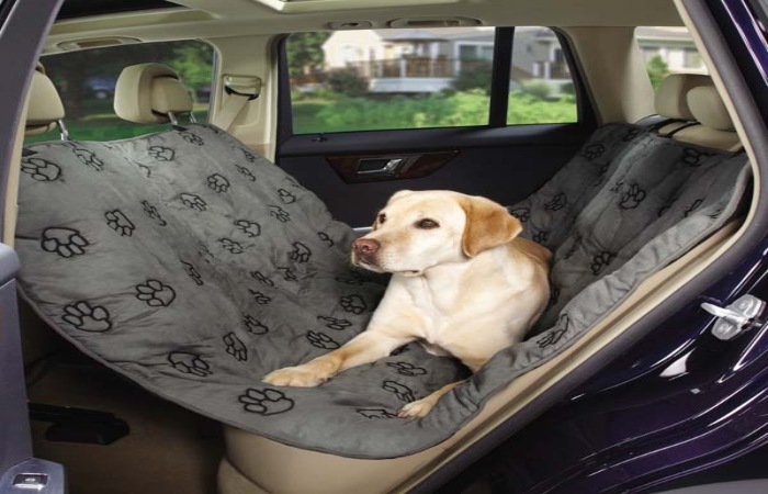 Why You Need a Car Pet Seat Cover_